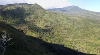 Alto Boquerón entre Yarumal y Campamento. Fotografía Luis Fabián Berrio, s.f.